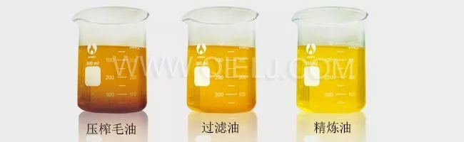 了解壓榨 浸出 精煉工藝出來的油 到底有什么區別？(圖1)